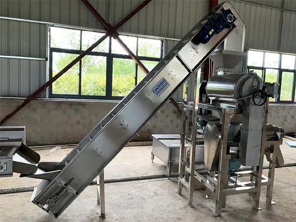 Línea de producción de jugo de cereza en funcionamiento