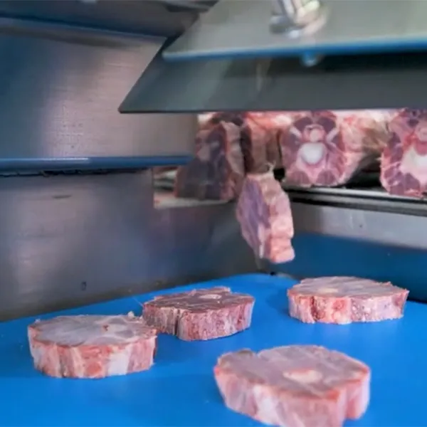 Sierras para carne y huesos