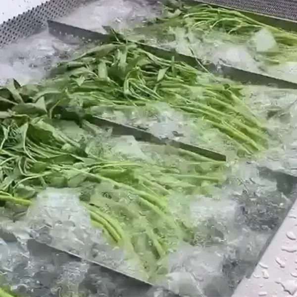 Equipos de lavado para alimentos