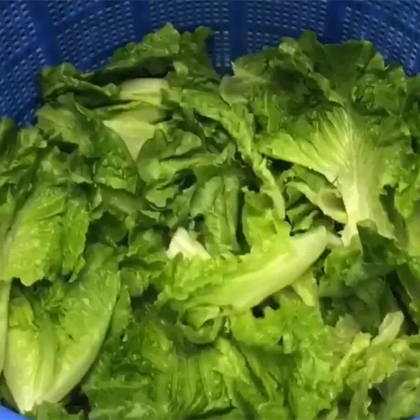 Escurridoras de alimentos
