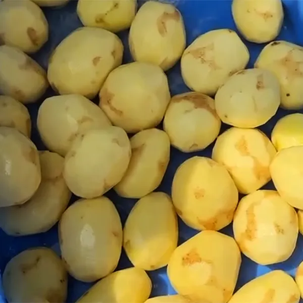 Peladoras de frutas y vegetales