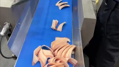 Rebanadora de carne congelada, DRB-21KC