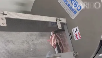 Rebanadora de carne congelada, DRB-25K
