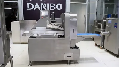 Cortadora de carne congelada en cubos 2D, DRB-PSD300