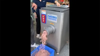 Picadora de carne fresca y congelada, DRB-JR120X