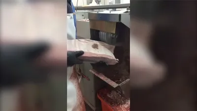 Limpiadora de pescado congelado, DRB-YM450