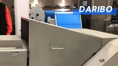 Desmenuzadora de bloques de carne congelada, DRB-PR3000