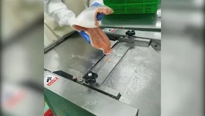 Peladora automática de pescado, DRB-Y400