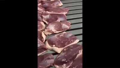 Inyectora de salmuera para carne, DRB-ZS168