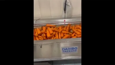 Lavadora de cepillos para vegetales, DRB-MG1500