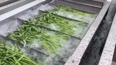 Lavadora de burbujas para vegetales (tipo transportador), DRB-QX3000