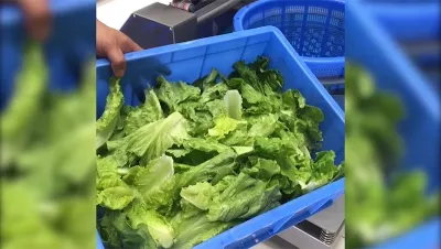 Escurridor inteligente de vegetales, DRB-TS70L