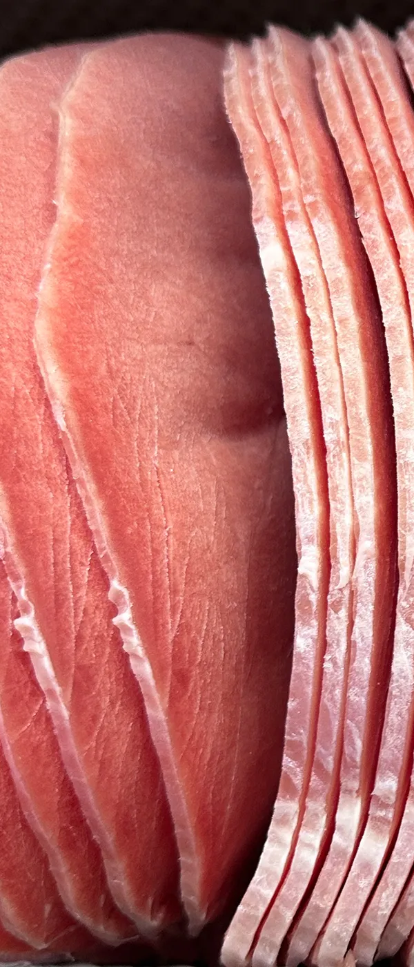 Rebanadora de carne congelada (grosor de 1-36 mm)
