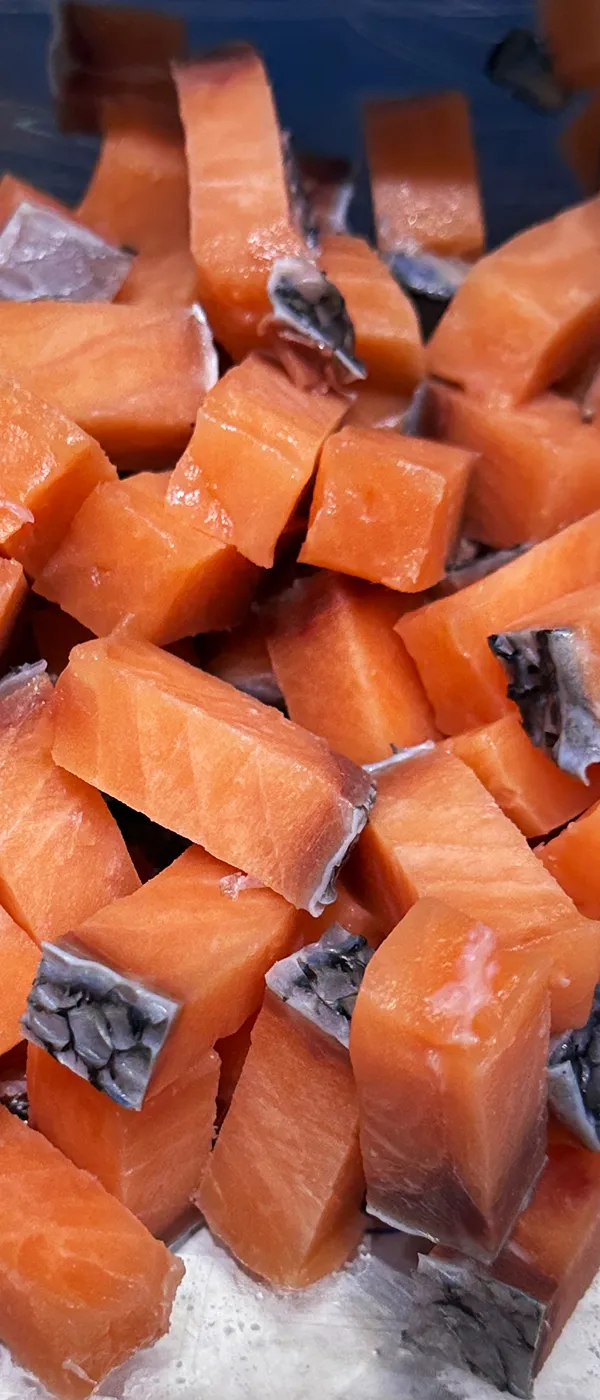 Cortadora de carne congelada en cubos 2D (solo para carne sin hueso)