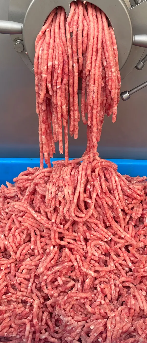 Picadora de carne congelada