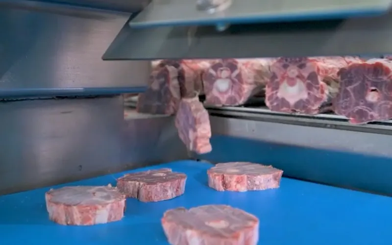 Sierras para carne y huesos