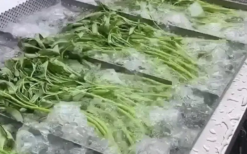 Equipos de lavado para frutas y vegetales